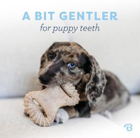 Benebone Puppy 2 Pack Dental Chew Dog Chew